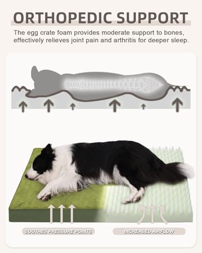 KSIIA Pet Bed Mat in 35.0"L x 22.0"W x 3.0"Th, Green
