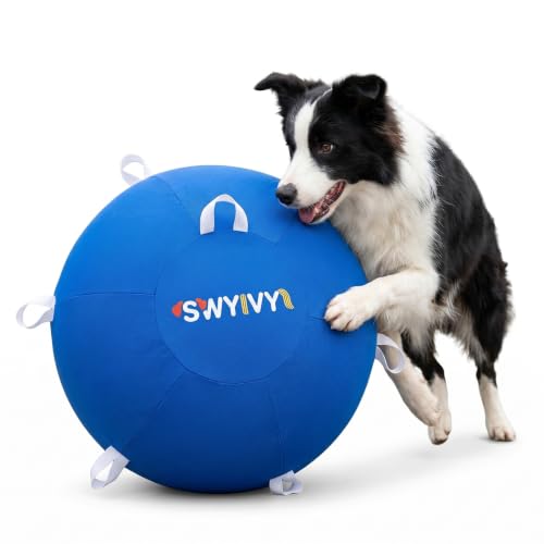 SWYIVY Recreation Ball in 25 Inch, Blue with Cover