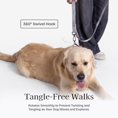 Fei and Eve Leash in 4FT, Twilight Gray