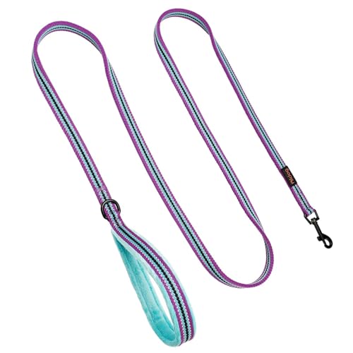 Didog Leash in 5/8''x 6 FT, Mixed-Blue
