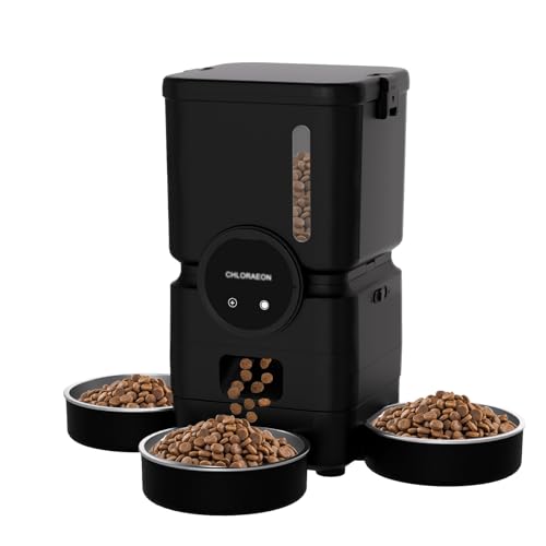 Chloraeon Pet Feeder in Black