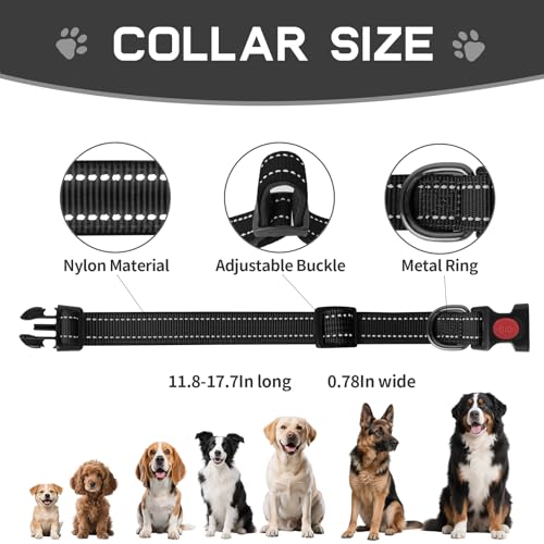 kazazoo Leash in M, collar
