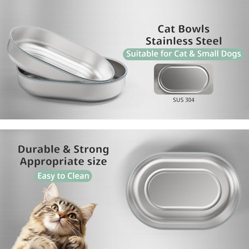 Baofum Pet Feeder in Silver Bowls