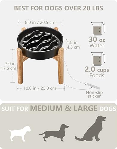 MOPANG Pet Feeder in 6 Inches, Black + Stand