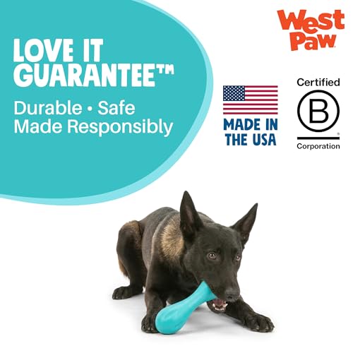 WEST PAW Pet Toy in Small, Geranium
