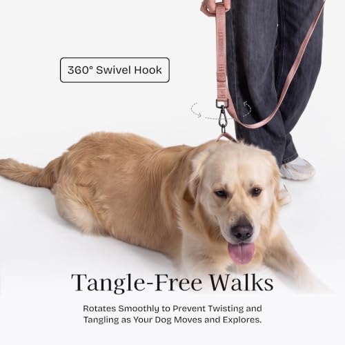 Fei and Eve Leash in 4FT, Blush