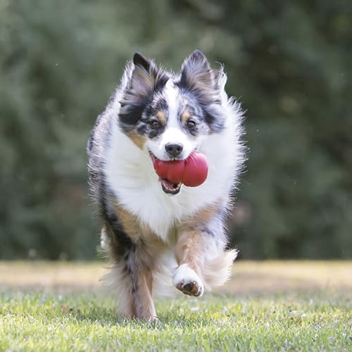 KONG Pet Toy in XX-Large, Red