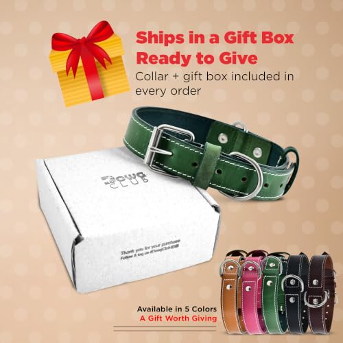 DowgClub Animal Collar in S (11"-14"), Green