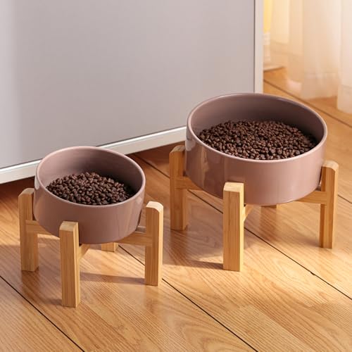 DJJJOOYS Pet Feeder in Slanted Small Dog Bowl, Khaki