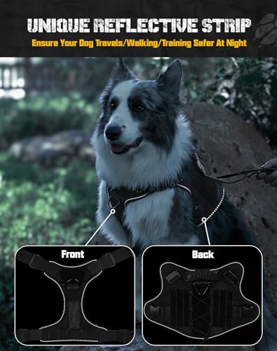 Saboos Animal Harness in S, Black