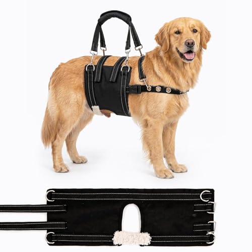 CWV Animal Harness in Large, Black