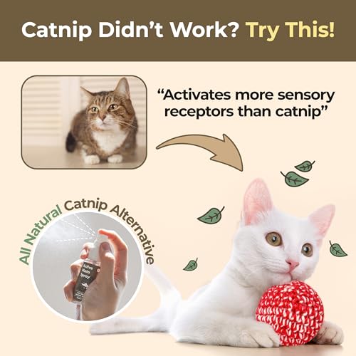 JAYU PET Pet Toy in 1fl oz, Mata