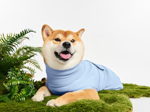 Haloumoning Pet Apparel in X-Small, Sky Blue