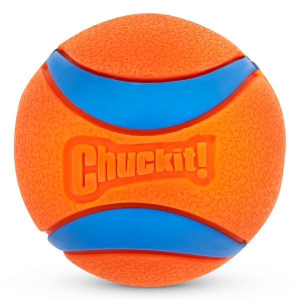 Chuckit! Pet Toy in Medium, Ultra