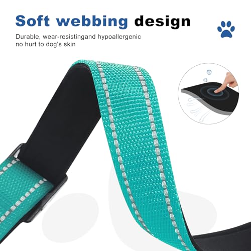 GDLKPS Animal Collar in XS:3/4" Wide for 11.5"-13.5" Neck, Green
