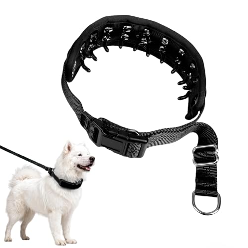 NozlaID Animal Collar in XL(23"-28"), Black