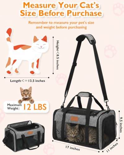 Petux Animal Carrier in 17.0"L x 11.0"W x 9.5"H, Grey