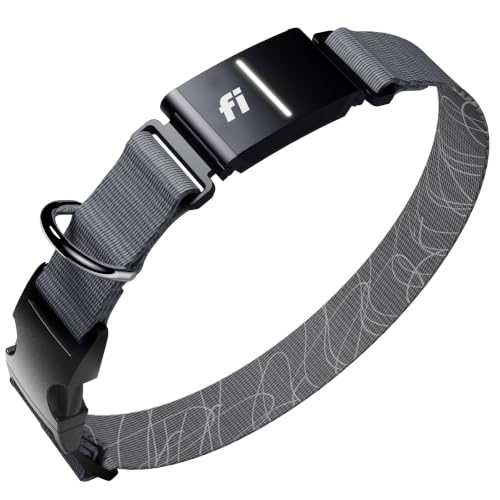 Fi Location Tracker in X-Small, Gray