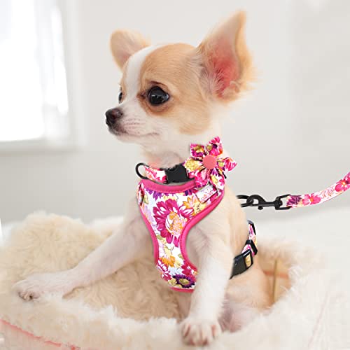 Beirui Animal Harness in XXS:Fit 2-6 lbs, Pink-2