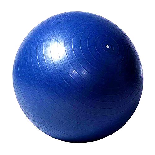 SWYIVY Recreation Ball in 40 Inch, Blue