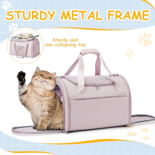 WEPLAN Animal Carrier in 18.1"L x 11.8"W x 12.9"H, Pink