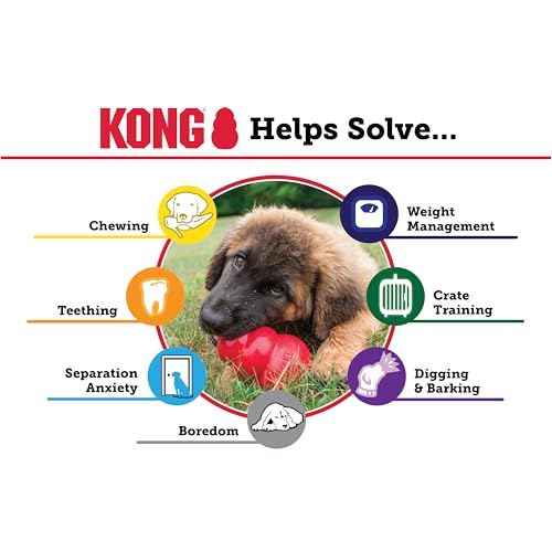 KONG Pet Toy in Medium (Pack of 1), Red