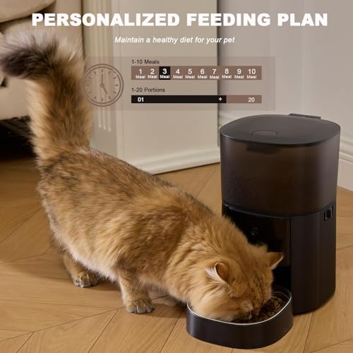 MZZ Pet Feeder in Black
