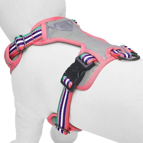 Blueberry Pet Animal Harness in Medium, Pink, Emerald and Orchid