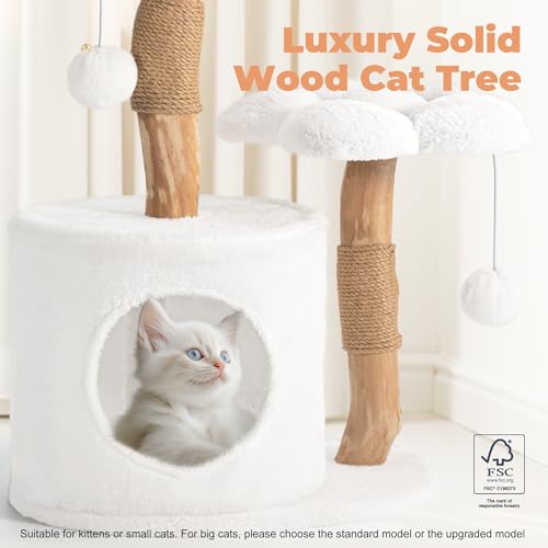 Easyego Pet Activity Structure in 26.3'', White