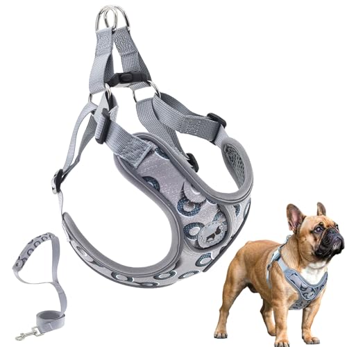 SAEGYPET Animal Harness in Medium, Gray-2