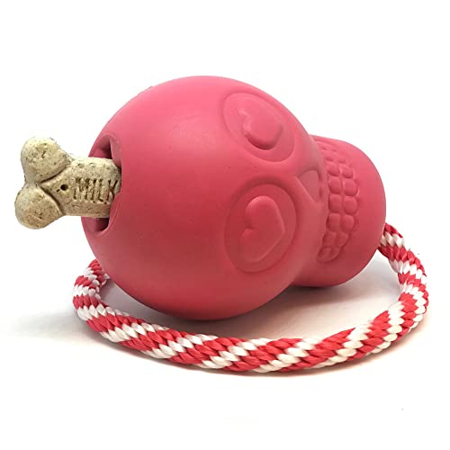 SodaPup Pet Toy in Large, Orange