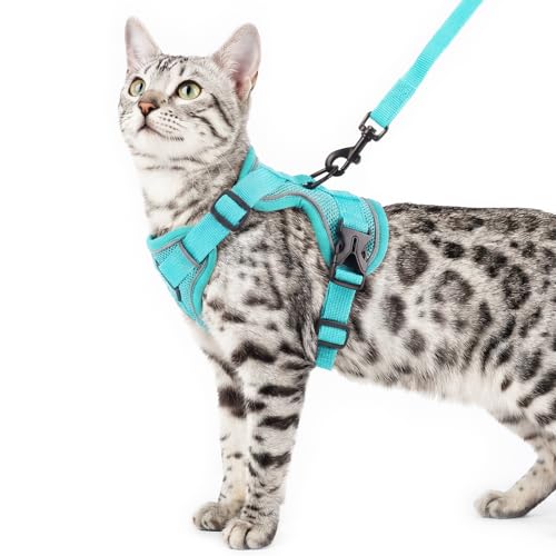 pangdi Animal Harness in Small, Turquoise