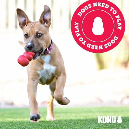 KONG Pet Toy in X-Large(2-Pack), Red