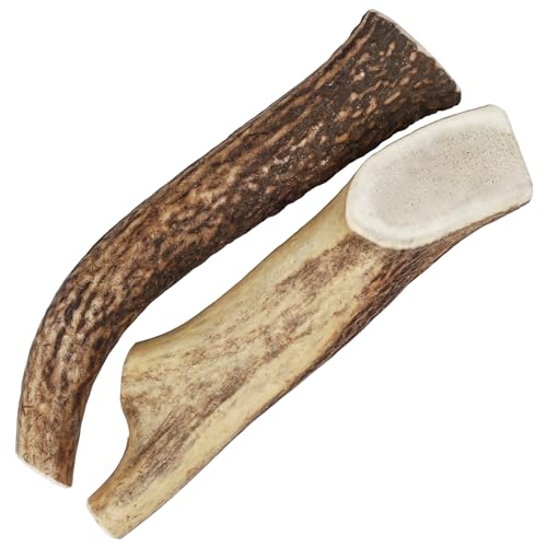 Mighty Paw Pet Toy in 2 Whole Large, White
