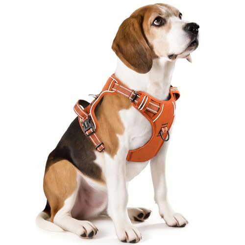 HEELE Animal Harness in M, Pumpkin Orange