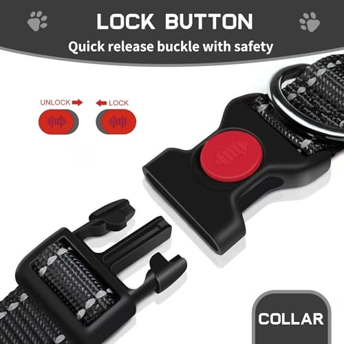 kazazoo Leash in M, collar