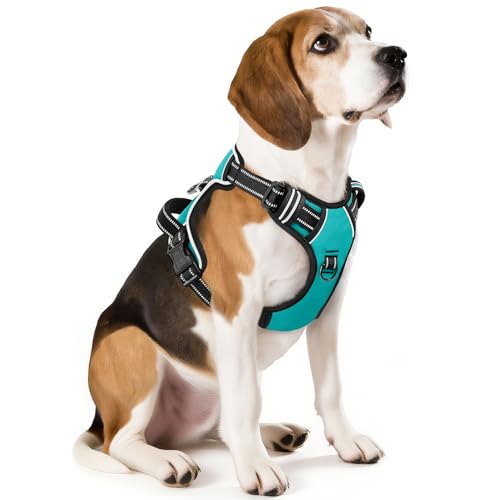 HEELE Animal Harness in M, Turquoise