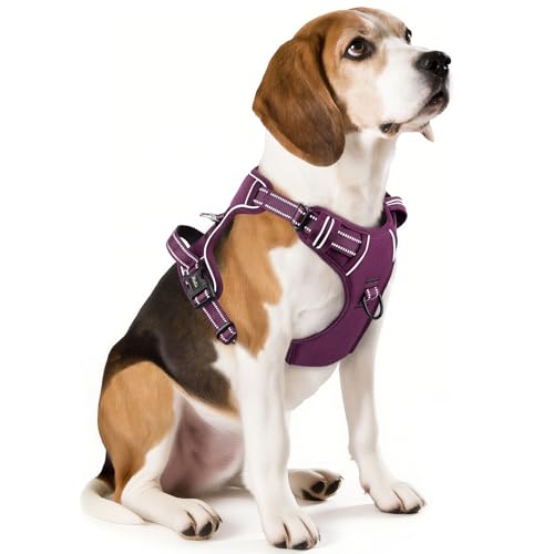 HEELE Animal Harness in M, Purple(Matching Trim)