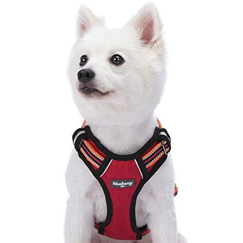 Blueberry Pet Animal Harness in Large, Blue-gray and Olive