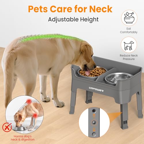 URPOWER Pet Feeder in Large, Grey