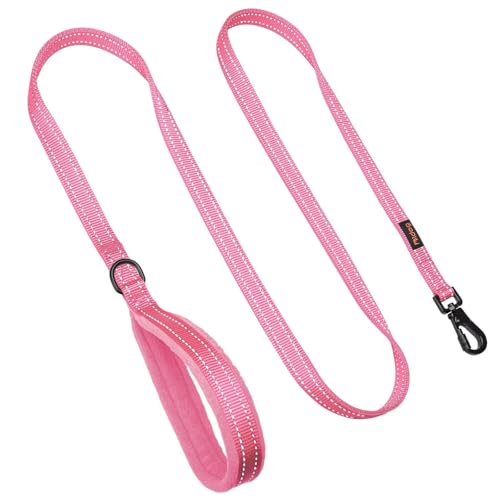 Didog Leash in 3/4''x 4 FT, Pink