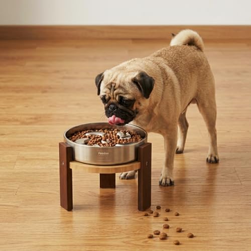Feedoo Pet Feeder in 6'' Height Stand, 6" Height 2Cups Slow Feeder