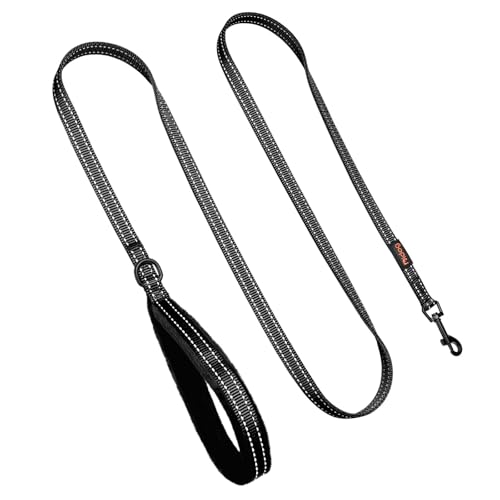 Didog Leash in 5/8''x 6 FT, Black