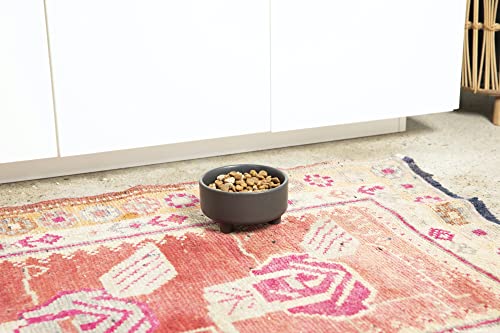 Waggo Pet Feeder in Small, Black