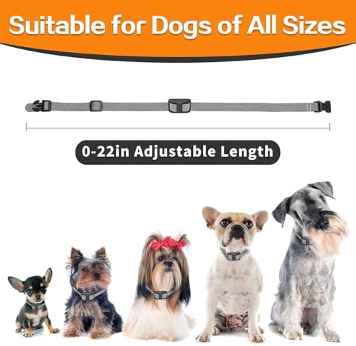 UbaNinva Animal Collar in Black