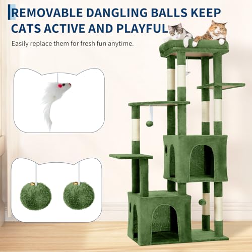 OUTLANE Pet Activity Structure in Green, Green