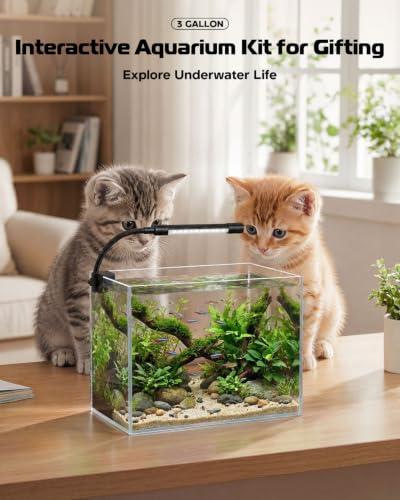 minilake Vivarium in 3 Gallon, Transparent
