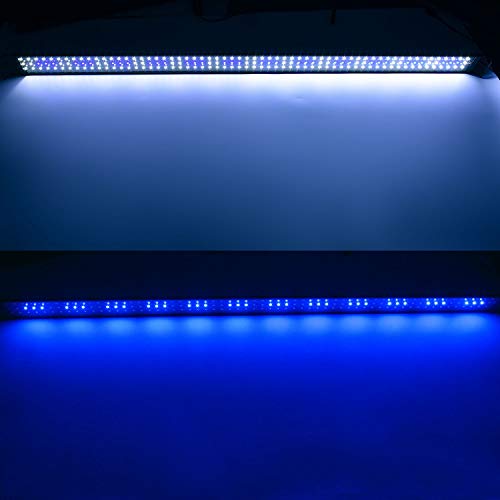 KZKR Lamp in Blue and White 48-60 inch, Blue,White