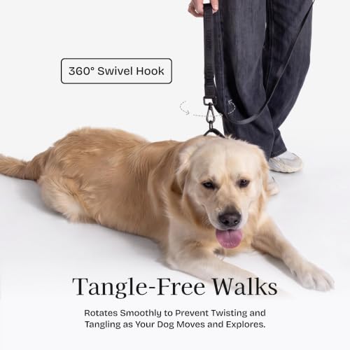 Fei and Eve Leash in 4FT, Black