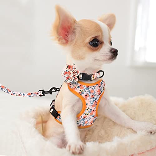 Beirui Animal Harness in XXS:Fit 2-6 lbs, Orange